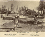 Vendedores de tablas, Estado de Mexico = Lumber sellers, State of Mexico