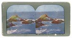 Seal Rocks from Cliff House, San Francisco, Cal. # 1254.