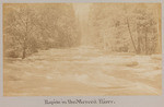 Rapids in the Merced River