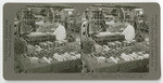 Wool 31. Die cutting staple patterns from felt for slipper manufacturing. West Alhambra, Calif., 145