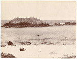 Seal Rocks, Monterey, Cal., 0383