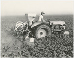 [Side view of man driving tractor affixed with homemade spraying apparatus]