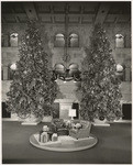 [Christmas trees in Barker's Bros. store]