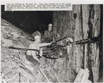 Drag saw putting in the back cut. Drag saws weighed up to 250 pounds and supplemented the hand saws. They were first used at Union Lumber company in 1940-41, but were found too heavy to move from place to place