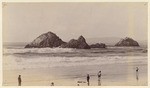 [Seal Rocks, San Francisco, Calif.]