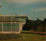 [Golden Gate Park Conservatory]