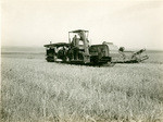 Combined harvester, near San Lucas, California, 22578