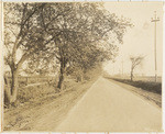 [Rural road, Sutter County]