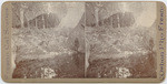 [Man standing near water in wilderness area, Fresno County]