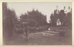 Santa Anita [Baldwin residence] # 1181