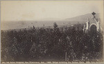 Sutro Heights, San Francisco, Cal., 1886, ships entering the Golden Gate, no. 29