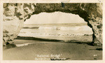 "Natural Bridge," Santa Cruz, California