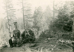 [Loggers in vicinity of Shaver Lake] (2 views)