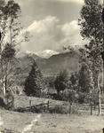 Snow on the [San Gabriel Mountains] from Monk Hill (4 views)