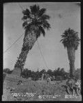 [San Pedro Street between Second and Third], 175.