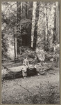 [Alfred Fuhrman sitting on log with man and woman at Muir Woods forest]