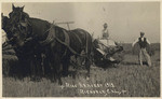 Rice harvest 1912, Richvale, Cal.