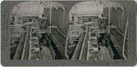 Oranges 13. Oranges conveyed from dryer, hand sorted for quality before going to sizer, Lamanda Park, Calif., 47