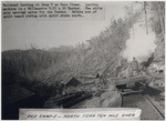 Railroad landing at Camp 7 on Noyo River. Loading machine is a Willamette 9.25 x 10 Yarder. The white mule carried water for the Yarder. Cabins are of split board siding with split shake roofs