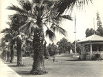 Pasadena, Library Park