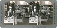 A peep at the fruit display of Kern and Tulare Counties, Panama-California Exposition, San Diego, Calif., U. S. A., 17700