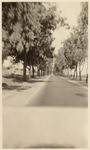 [Highway 99, Merced, Calif.]