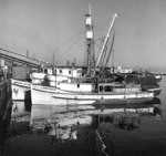 [Fishing vessels at Terminal Island]