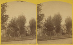 [View of houses on tree lined street]