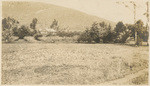 [Unidentified farm land in Santa Barbara County or Ventura County] (5 views)