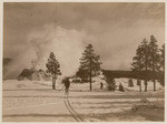 Castle Geyser and Upper Basin