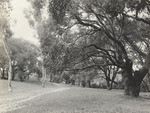 A South Pasadena park