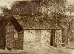 [Palomar Mountain Post Office and Library]