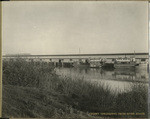 Celery unloading from river boats