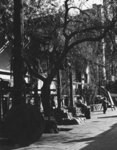 [Olvera Street]