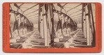 [Interior view of railroad bridge]