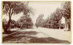 Adams St. from Figueroa. # 385.
