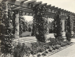 [Coppell residence pergola] (3 views)