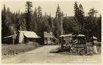 "Camp Pioneer" Yuba Pass Highway, Calif.