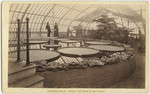 Interior of Conservatory in Golden Gate Park, 36