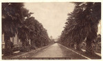 Palm Avenue, Longstreet Homestead, Adams St., near grand Ave. 63.