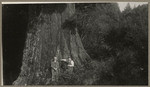 [Alfred Fuhrman and man holding bag in front of large tree]