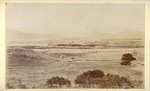 Glendale from the Ostrich Farm. # 520