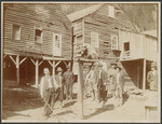 [Pet bear chained on a platform at Scott Bar]