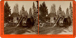 The Pavillion, built on the stump of a tree, Mammoth Tree Grove, Calaveras Co., Cal., 3502