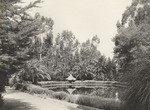 Lake Smiley Heights, Redlands