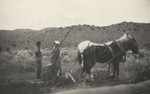 [Los Angeles County Library, county librarian interviewing a school trustee]