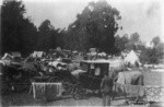 [Makeshift refugee camp. Golden Gate Park]