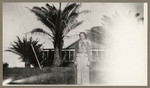 [Young woman standing near house with palm trees]