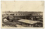 R.R. Lbr. Co. Sawmill, Westwood Cal.