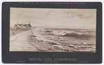 Hotel Del Coronado, from W. # 587.